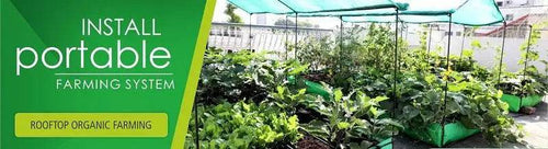 Roof Top Farming - An Urabn Farming