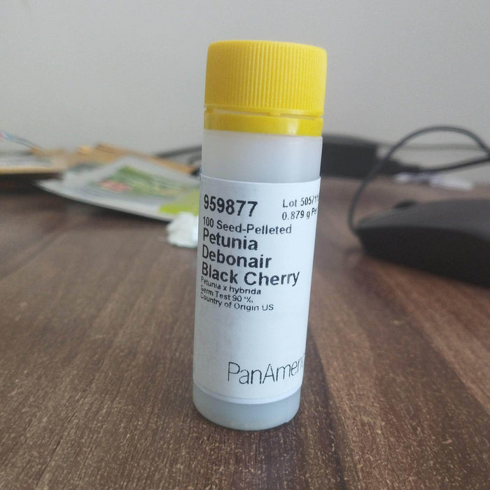 Petunia Debonair Black Cherry (PanAmerican) - Farmers Stop