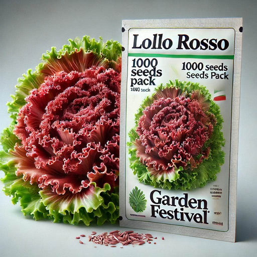 Lettuce - Lollo Rosso (Garden Festival's) - Farmers Stop