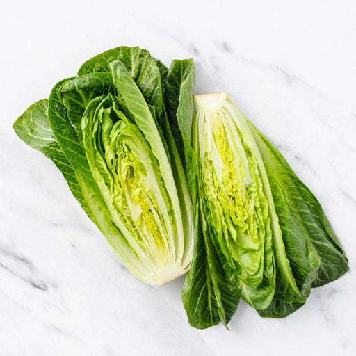 Lettuce - Romaine (Garden Festival's) - Farmers Stop