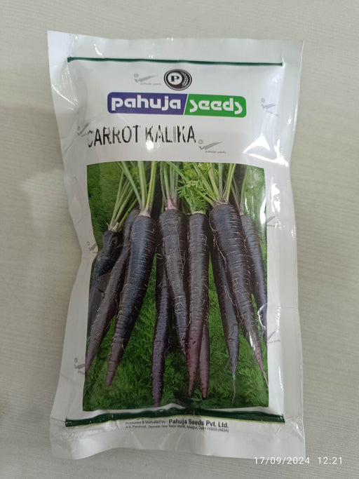 Carrot Black Kalika (Pahuja Seeds) - Farmers Stop
