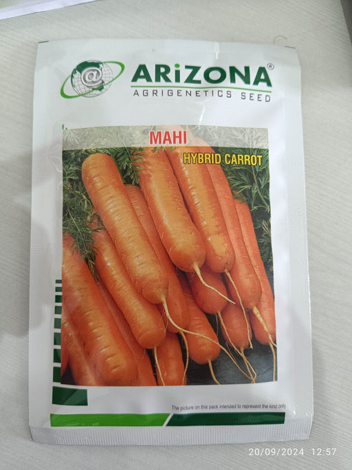MAHI F1 Hybrid Orange Carrot - Excellent Quality (Arizona AgriGenetics Seed) - Farmers Stop