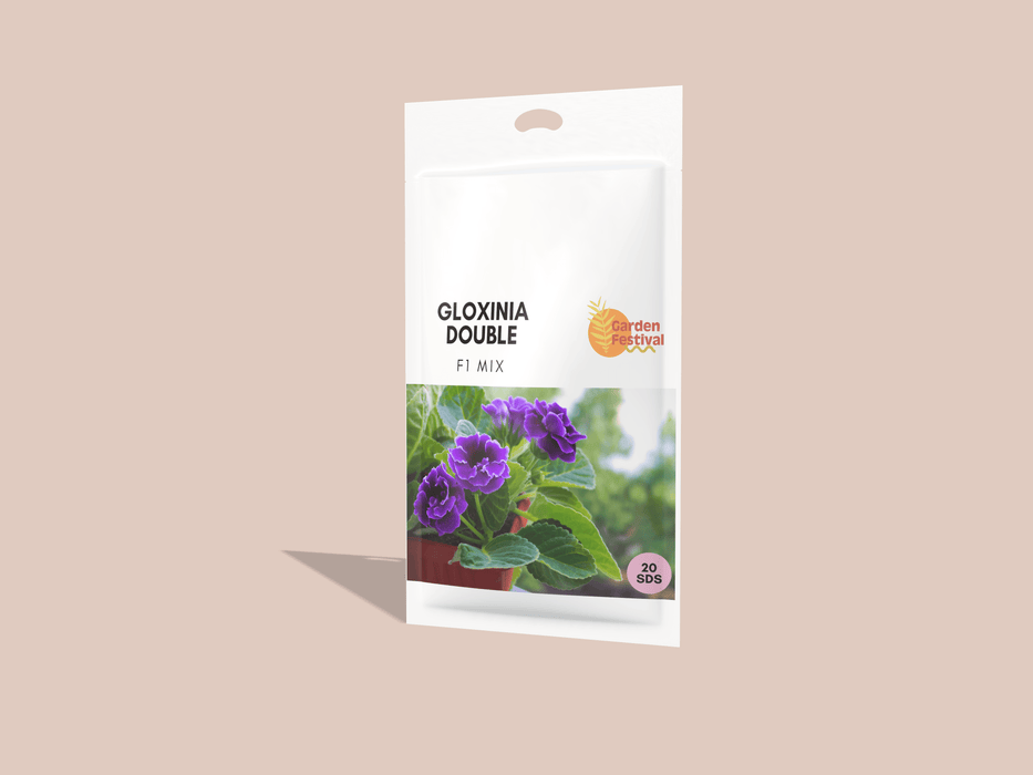 Gloxinia Double Hybrid F1 Mix (Garden Festival) - Farmers Stop