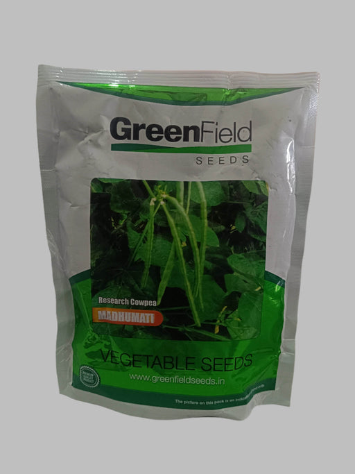 Madhumati Research Cowpea (Green Field Seeds) - Farmers Stop