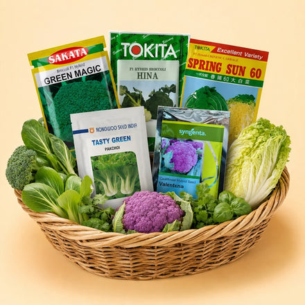 Exotic & Herbs