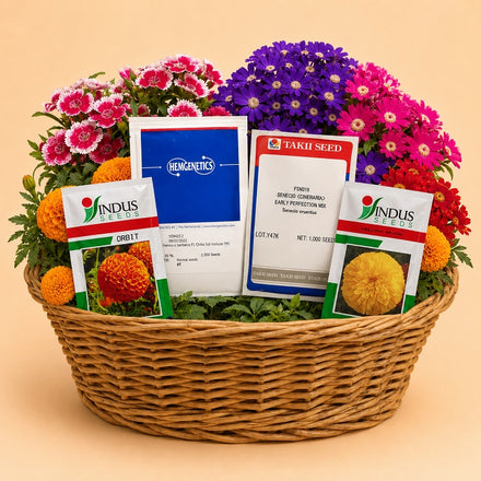 Flower Seeds