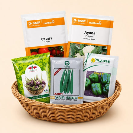 Vegetable Seeds
