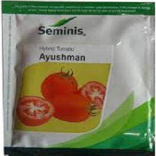 Ayushman/आयुष्मान Tomato (Seminis) - Farmers Stop