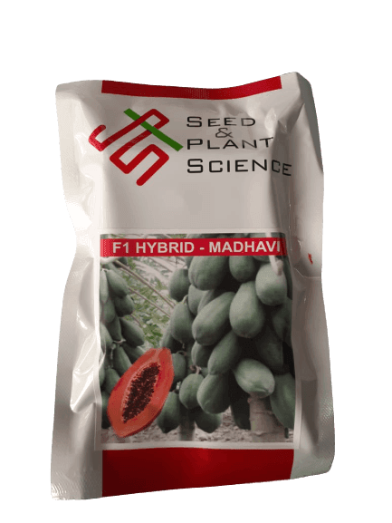 Madhavi Hybrid F1 Papaya (Seed & Plant Science) - Farmers Stop