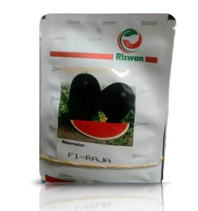 Raja F1 Hybrid Watermelon (Rizwan Seeds) - Farmers Stop
