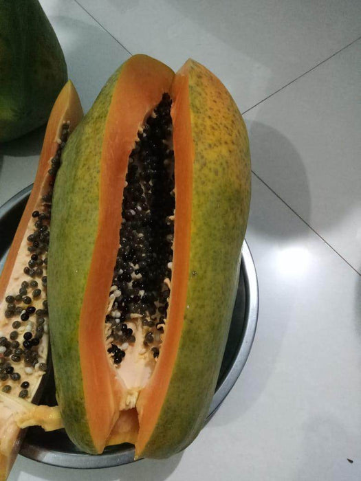 Sun Berry/सन बेरी F1 Hybrid Papaya (Aus ecowell) - Farmers Stop