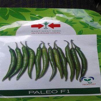 Paleo/पालेओ F1 Hot pepper (East West Seeds) - Farmers Stop