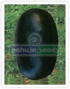 Jumbo/जंबो Watermelon (Pahuja Seeds) - Farmers Stop