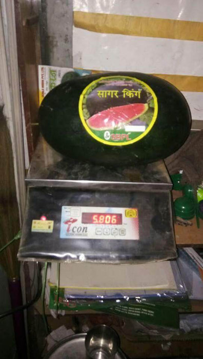 Sagar King/सागर किंग Watermelon (Sagar Seeds) - Farmers Stop
