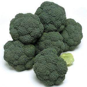 Hybrid Broccoli Paraiso (TBE-449) (Takii Seeds) - Farmers Stop
