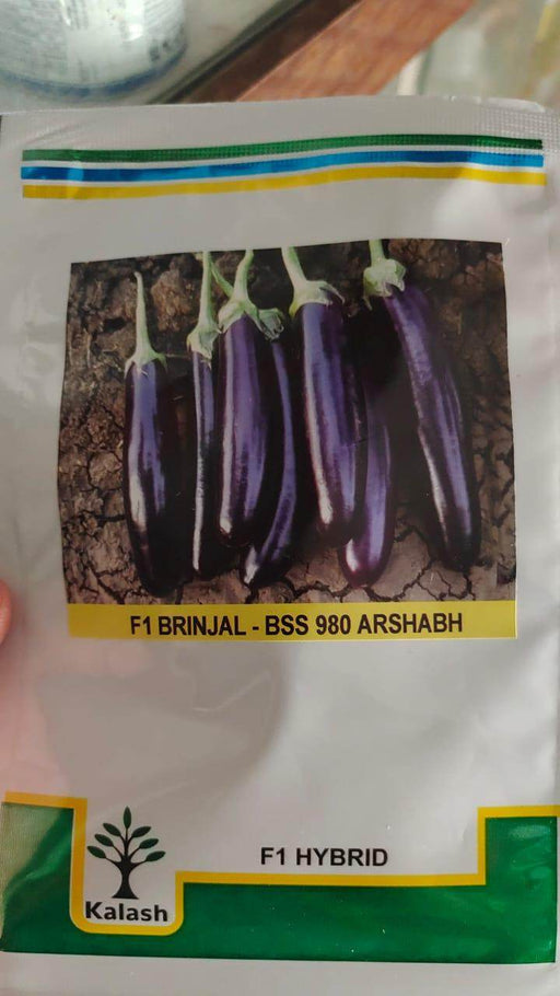 BSS 980 ARSHABH F1 HYBRID BRINJAL / KALASH SEEDS - Farmers Stop