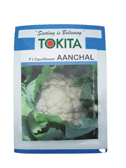 Aanchal F1 Cauliflower (Tokita Seeds) - Farmers Stop