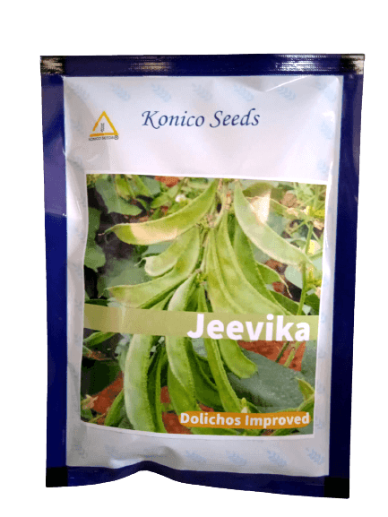 Jeevika Improved Dolichos for Farming (Konico Seed India) - Farmers Stop