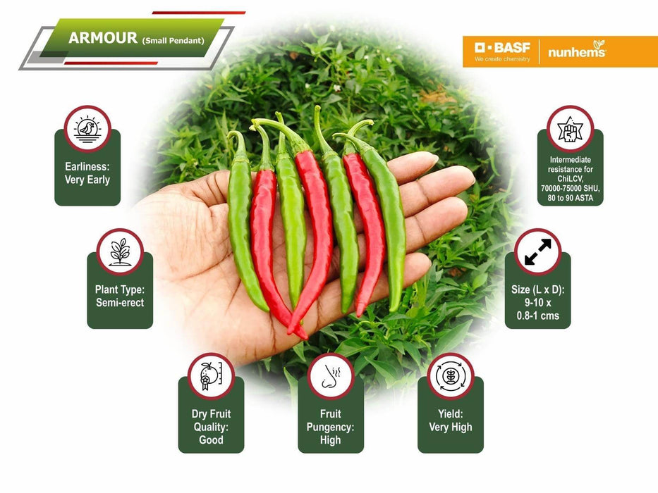 Armour F1 Hybrid Chilli (BASF | Nunhems) - Farmers Stop