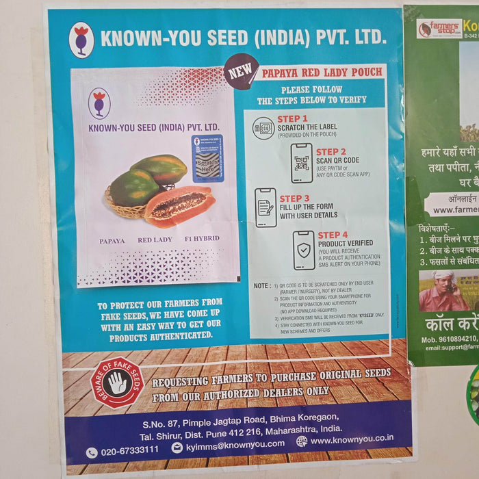 Red Lady 786 Hybrid F1 Papaya (Known You Seeds - Taiwan) - Farmers Stop