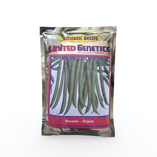 Arjun - Beans (United Genetics, USA) - Farmers Stop