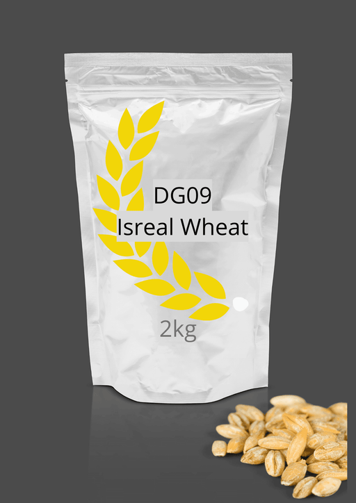 DG09 Israeli Wheat Seeds for Farming - Limited Stock* - COD not available - Farmers Stop