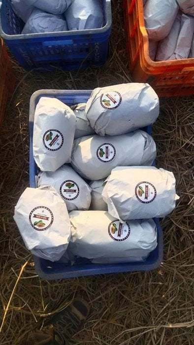 Red Baby Hybrid F1 Papaya (Known You Seeds - Taiwan) - Farmers Stop