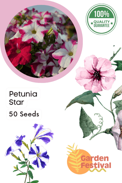 Petunia Star Mix (Garden Festival) - Farmers Stop
