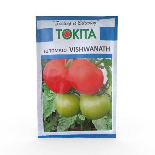 Vishwanath F1 Tomato (Tokita Seeds) - Farmers Stop