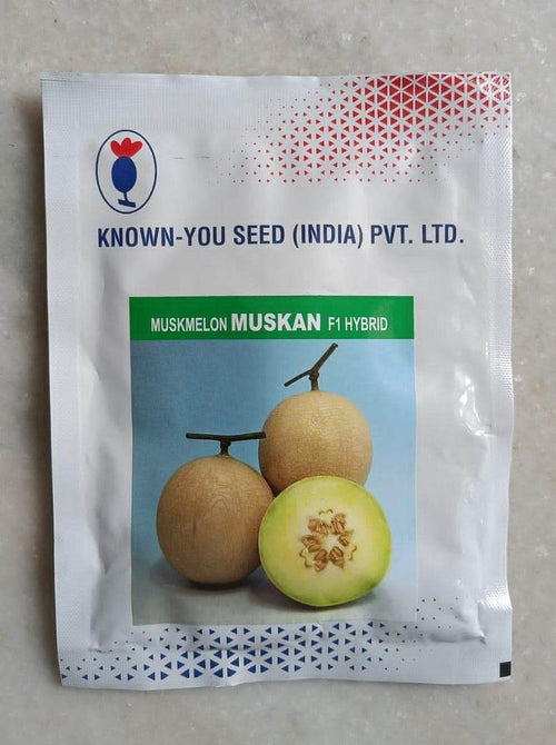 Muskmelon Seeds Online in India