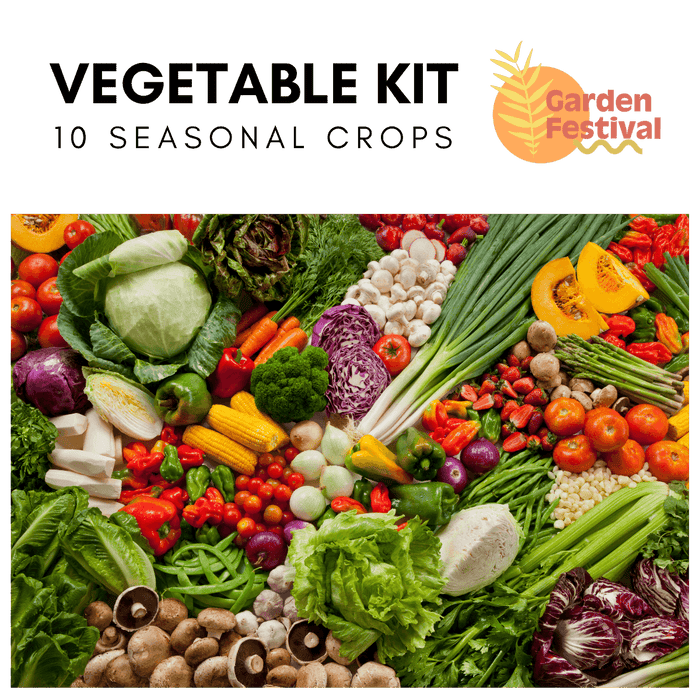10 Easy Growing Best Vegetable Seed's Kit (Garden Festival) - Farmers Stop