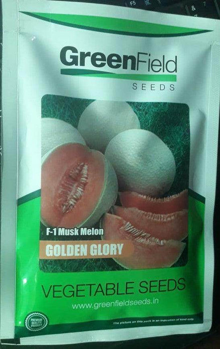 Golden Glory/गोल्डन ग्लोरी Muskmelon (Green Field Seeds) - Farmers Stop