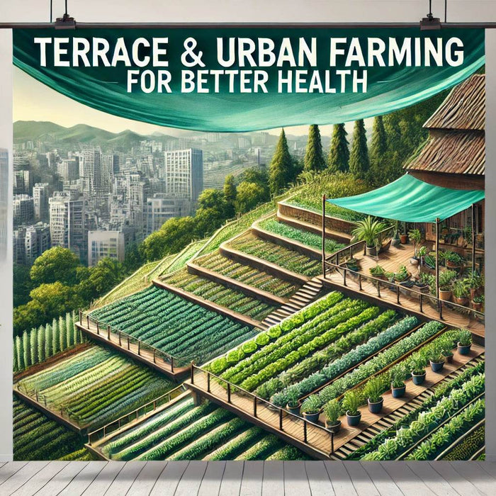The Advantages of Terrace Farming: Embracing Urban Agriculture in Indian Communities - Farmers Stop