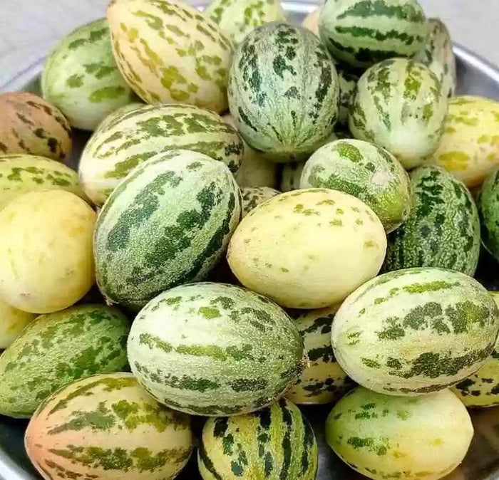 The Cultivation and Health Benefits of Foot Kakri/Kachari: A Comprehensive Guide
