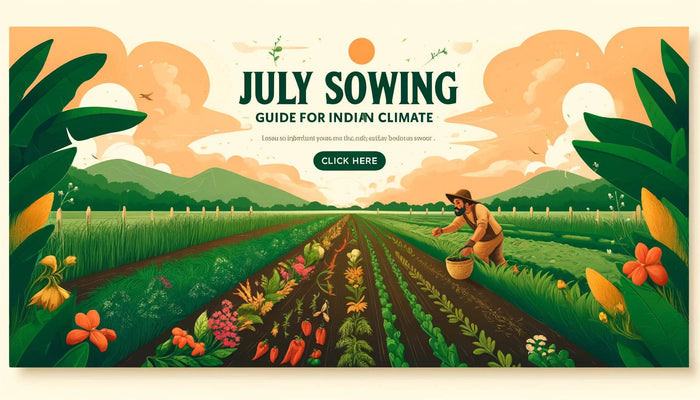 July Sowing Guide for Vegetables, Flowers, and Exotic Herbs in Indian Climate
