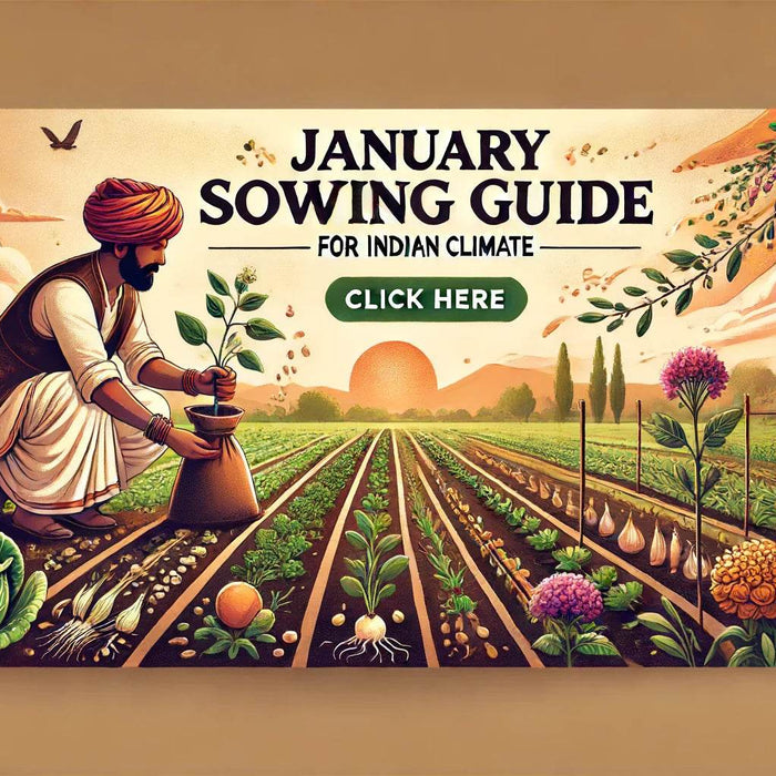 January Sowing Guide for Vegetables, Flowers, and Exotic Herbs in Indian Climate - Farmers Stop