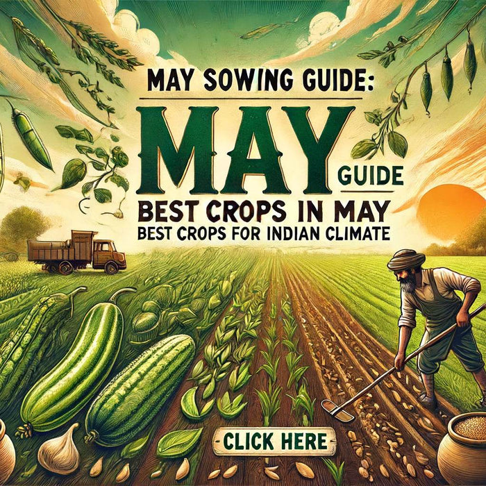 May Sowing Guide: Best Crops to Plant in May for Indian Climate - Farmers Stop
