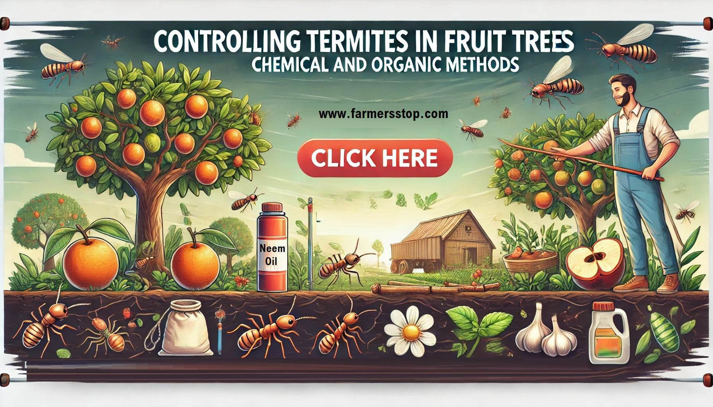 Controlling Termites in Fruit Trees: Chemical and Organic Methods
