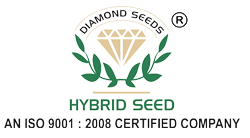 Diamond Seeds - Farmers Stop