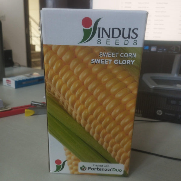 Sweet Glory Hybrid Sweet Corn (Indus seeds) - Farmers Stop