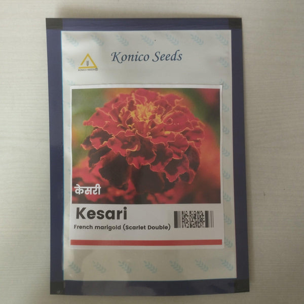 Kesari/केसरी French Jafri Marigold (Konico Seeds) - Farmers Stop