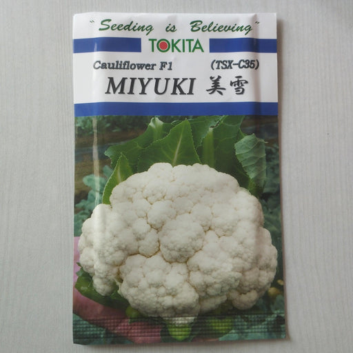 MIYUKI TSX-C35 F1 Hybrid Cauliflower (Tokita Seeds) - Farmers Stop