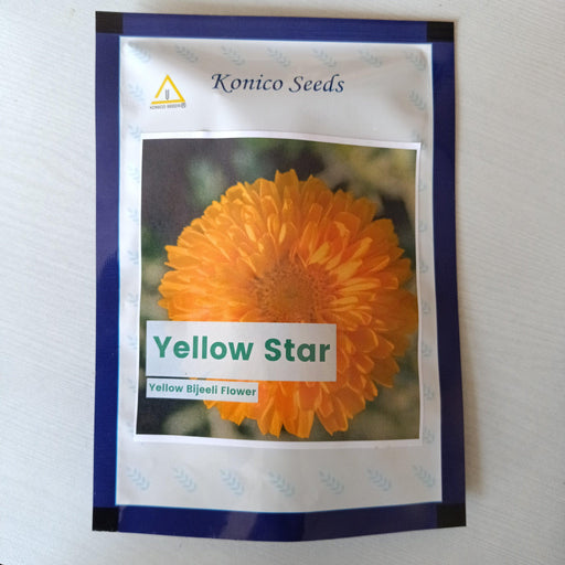 Yellow Star Bijeeli Flower Seeds (Konico Seeds) - Farmers Stop
