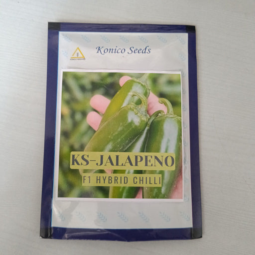 KS-JALAPENO Hybrid F1 Chilli (Konico Seeds)