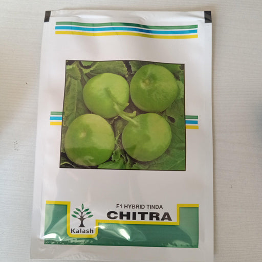 Chitra F1 Hybrid Tinda (Kalash Seeds) - Farmers Stop