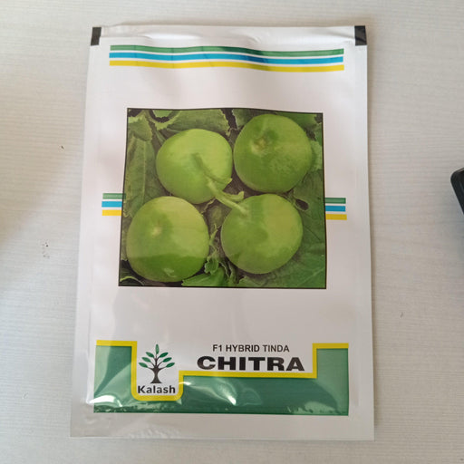 Chitra F1 Hybrid Tinda (Kalash Seeds) - Farmers Stop