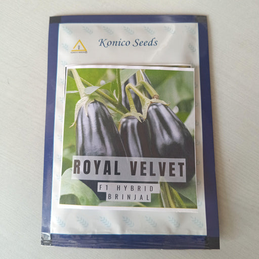 Royal Velvet F1 Hybrid Brinjal (Konico Seeds) - Farmers Stop