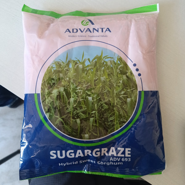 Sugargraze ADV 693 -Hybrid Sweet Sorghum (Advanta)