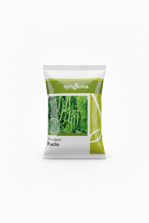 Mucio Peas Seed - Farmers Stop