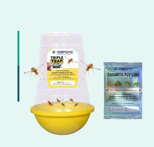 Cucubita Fly Lure with Traps (Zoospore Biological's) - Farmers Stop